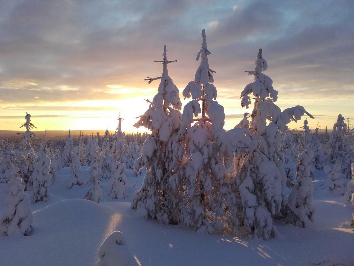Ollilan Lomamajat * Kuusamo